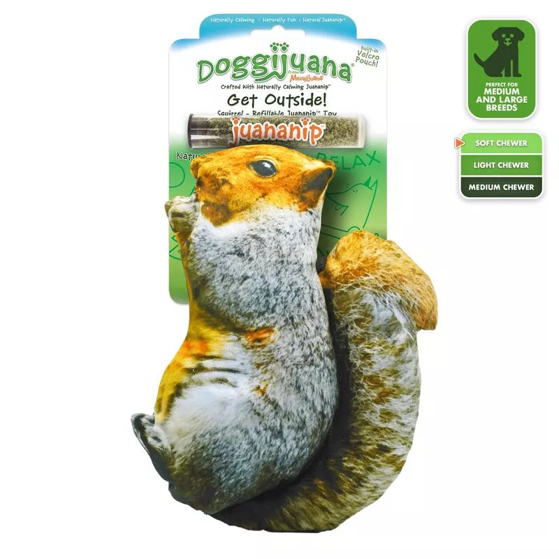 Get Outside Squirrel Refillable Dog Toy
