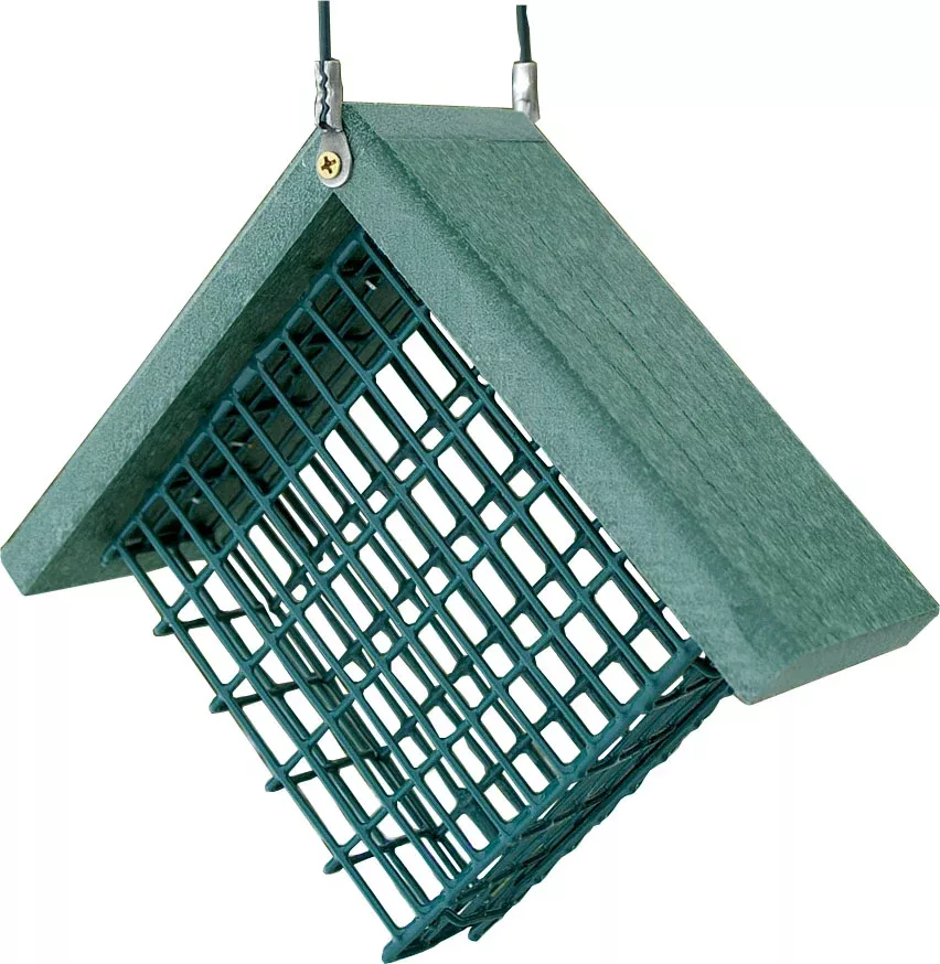 Going Green Suet Feeder