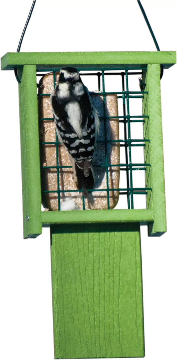 Going Green Tail-Prop Suet Feeder