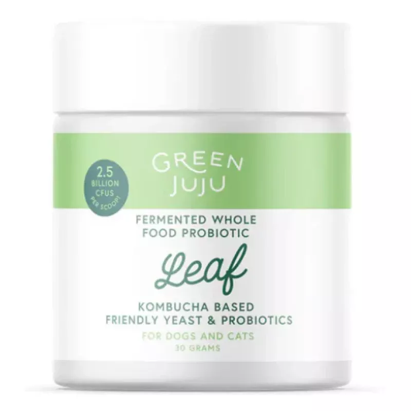 Green JuJu - Leaf - Fermented, Kombucha-Based Probiotic