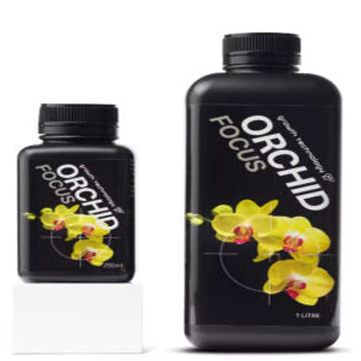 GT Orchid Focus
