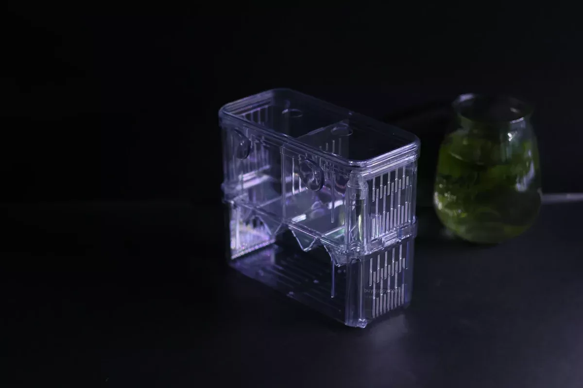Guppy Breeder Box (Large)