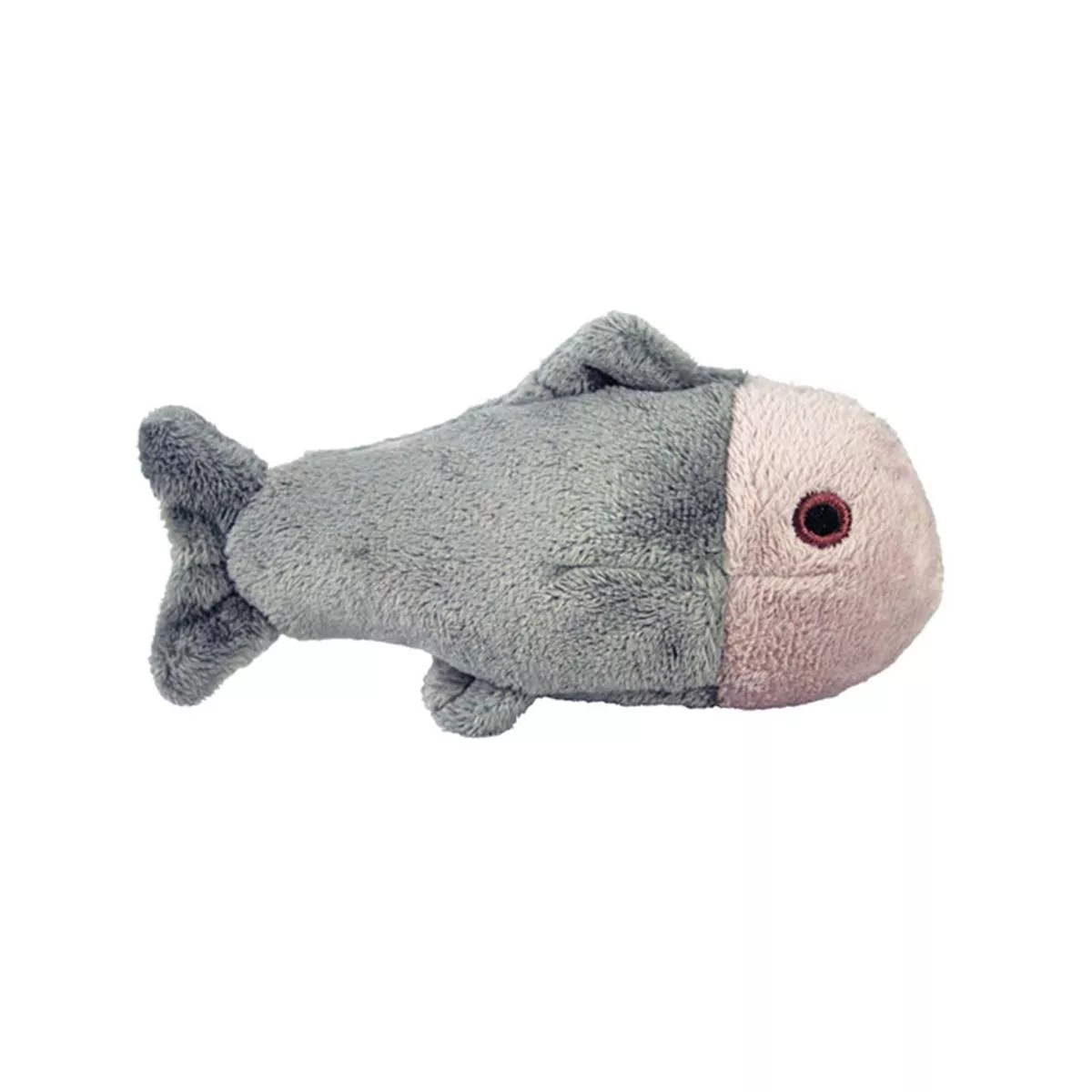Guppy Fish