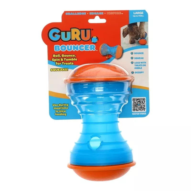 Guru Bouncer