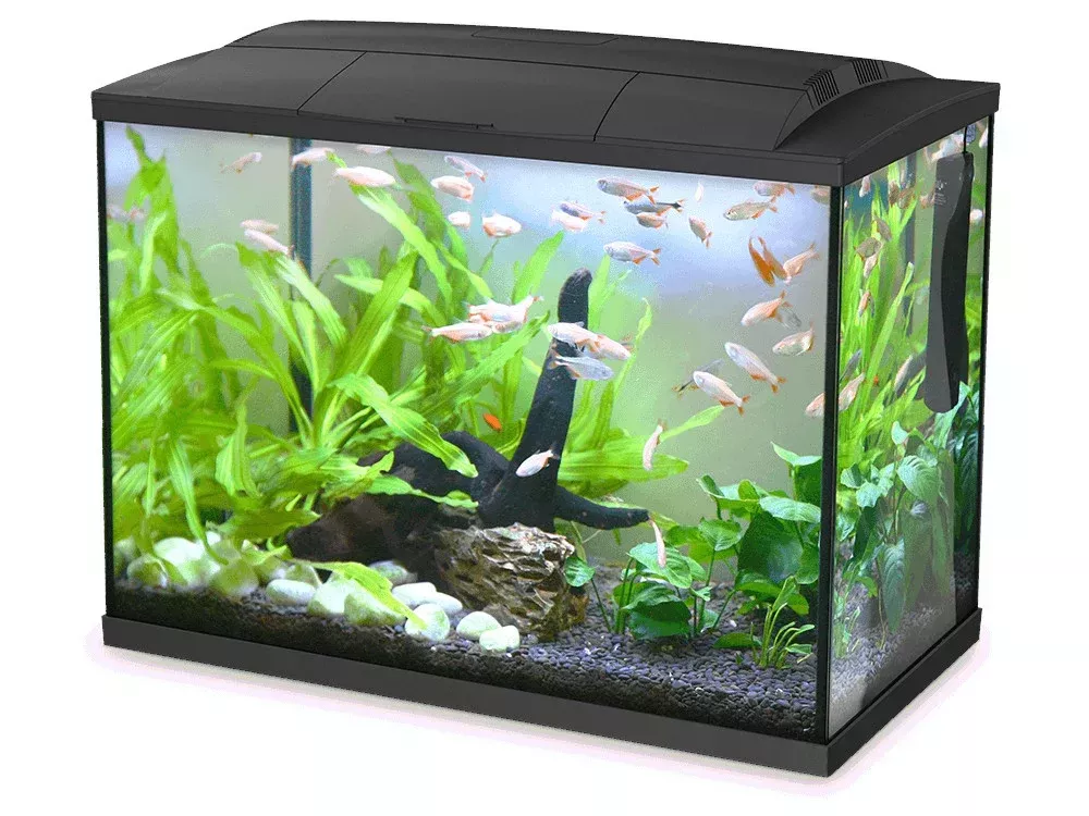 Hailea K60 LED Aquarium 60L