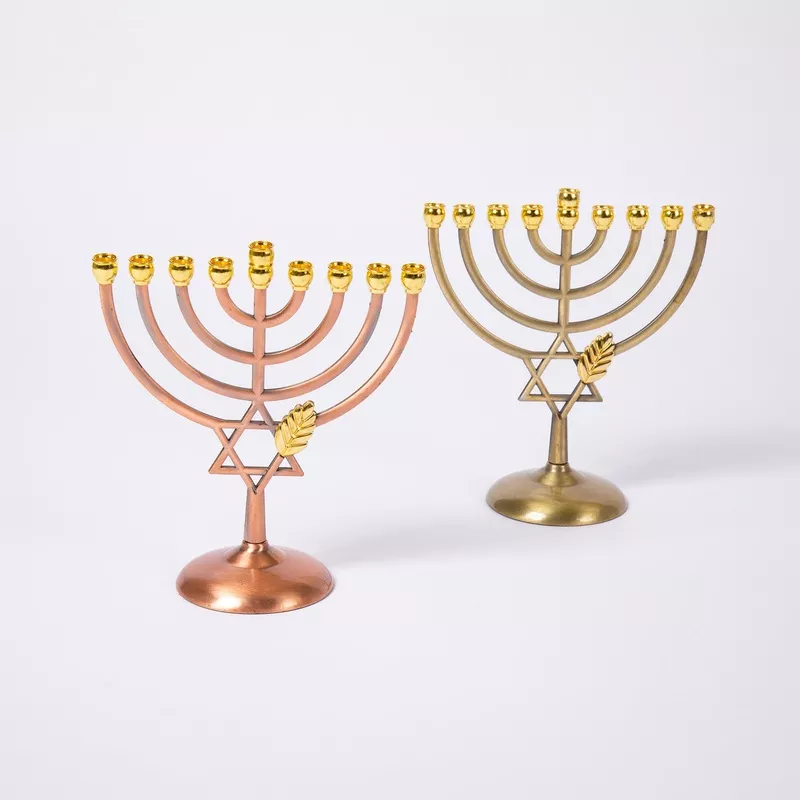 Hanukkah Menorah Bronze