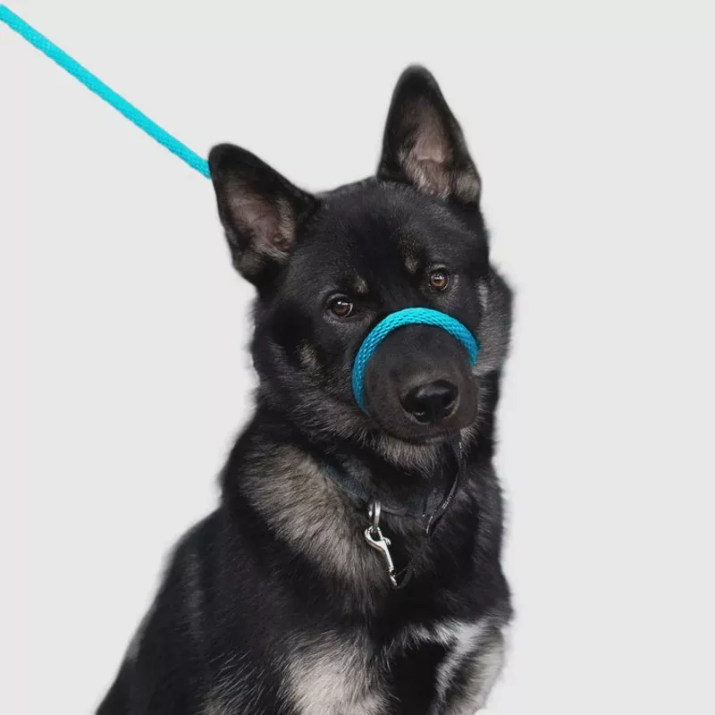 Heather’s Heroes Sidekick No-Pull Dog Leash – Regular 3/8″, 6ft Black