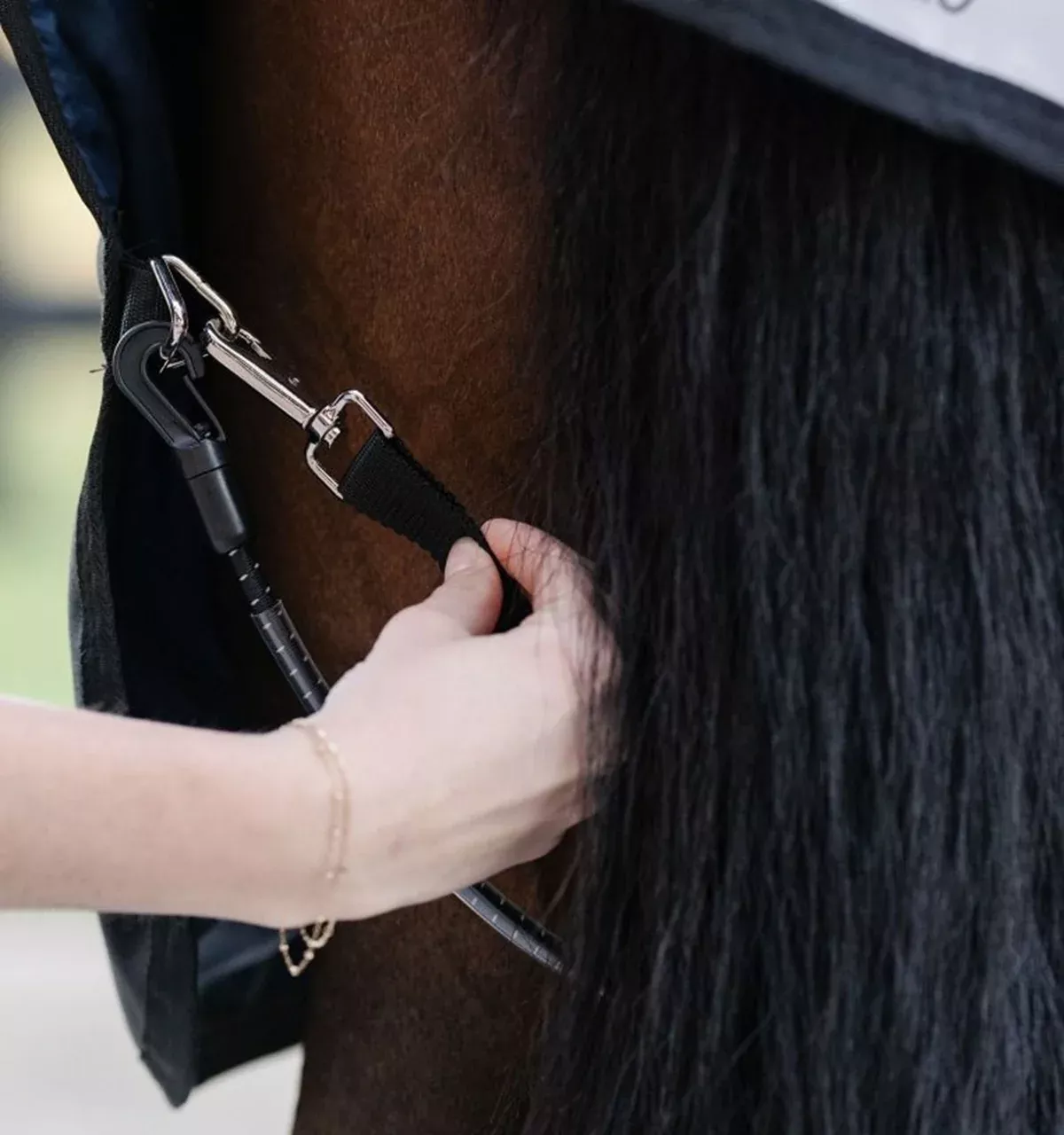 Horseware Elasticated Leg Straps