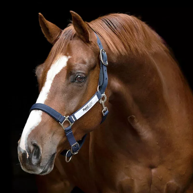 Horseware FieldSafe Halter Navy