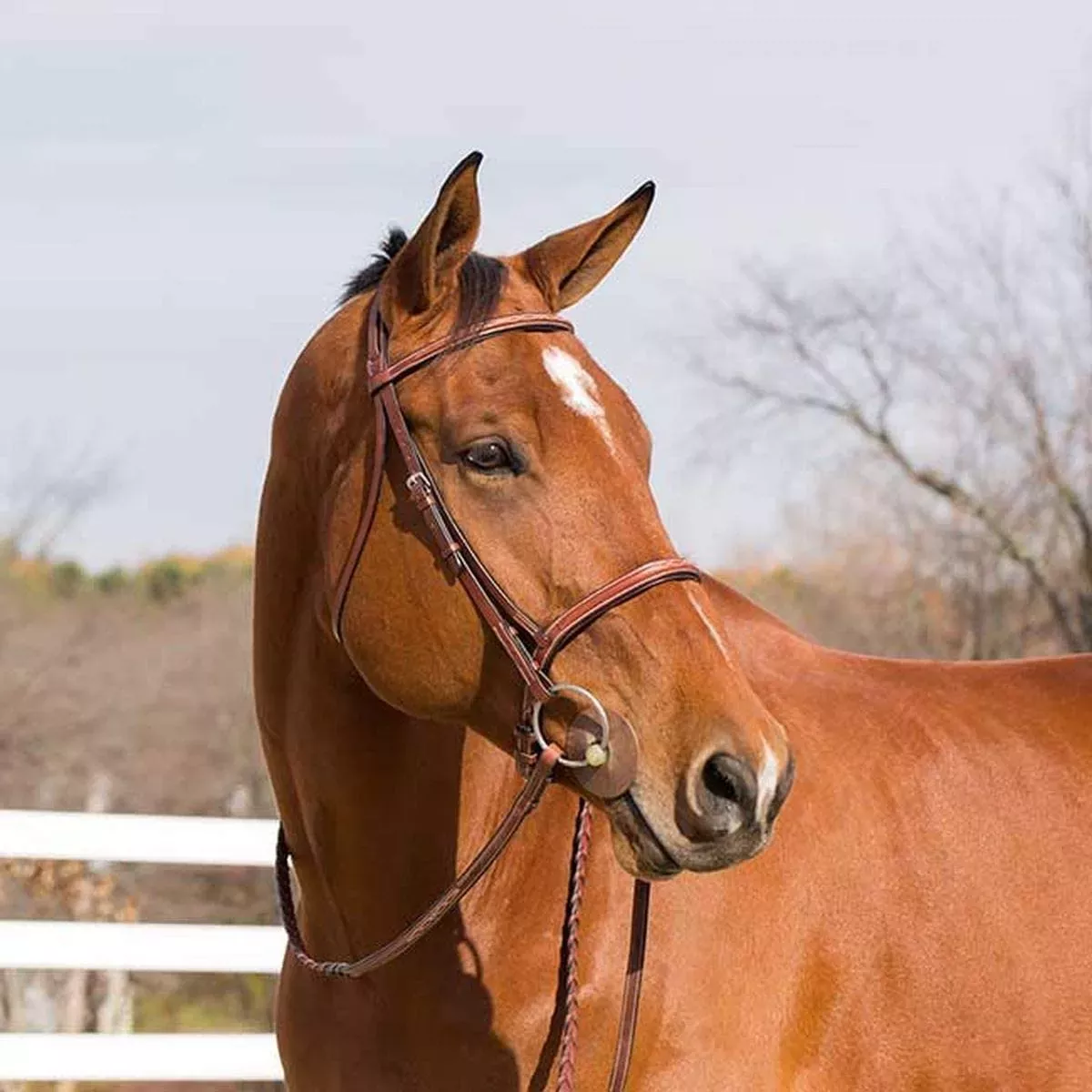 Horze Harrison Bridle