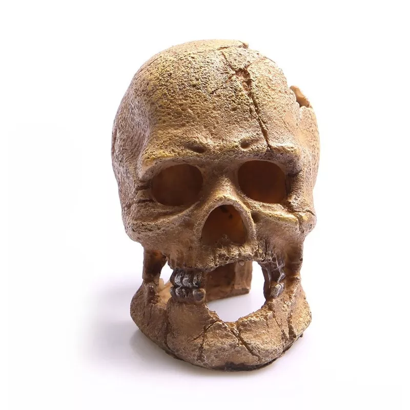 HUMAN SKULL W/HOLE 13CM