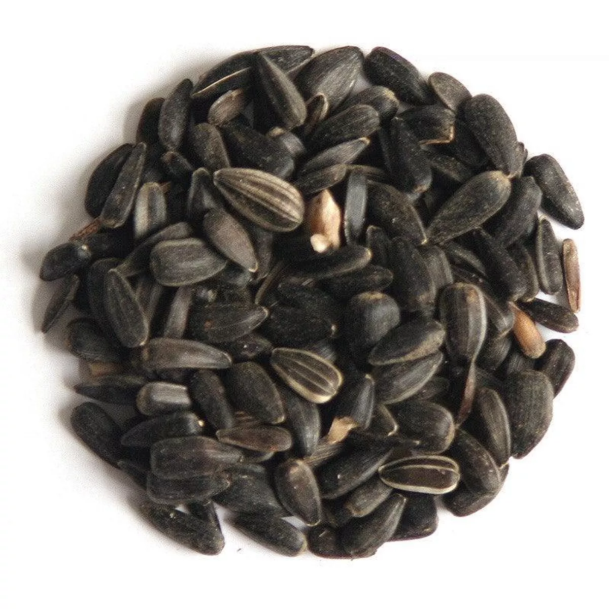 Hutton Mill Black Sunflower Seed 13kg