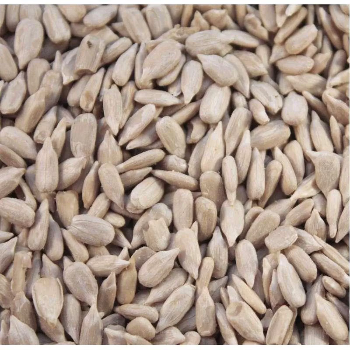 Hutton Mill Sunflower Hearts 20kg