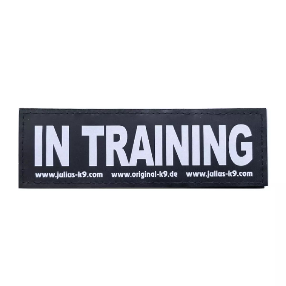 In Training Patch Large