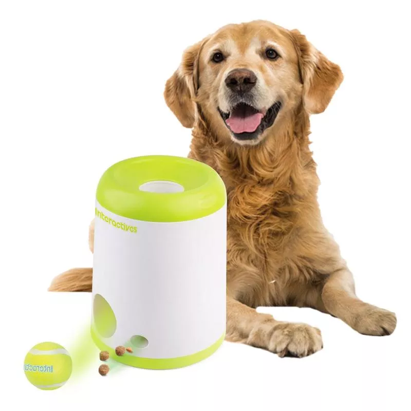 Interactive Fetch-N-Treat Dog Toy