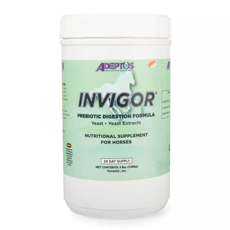 Invigor Prebiotic Digestion Formula Supplement for Horses