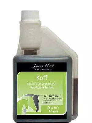 James Hart Koff