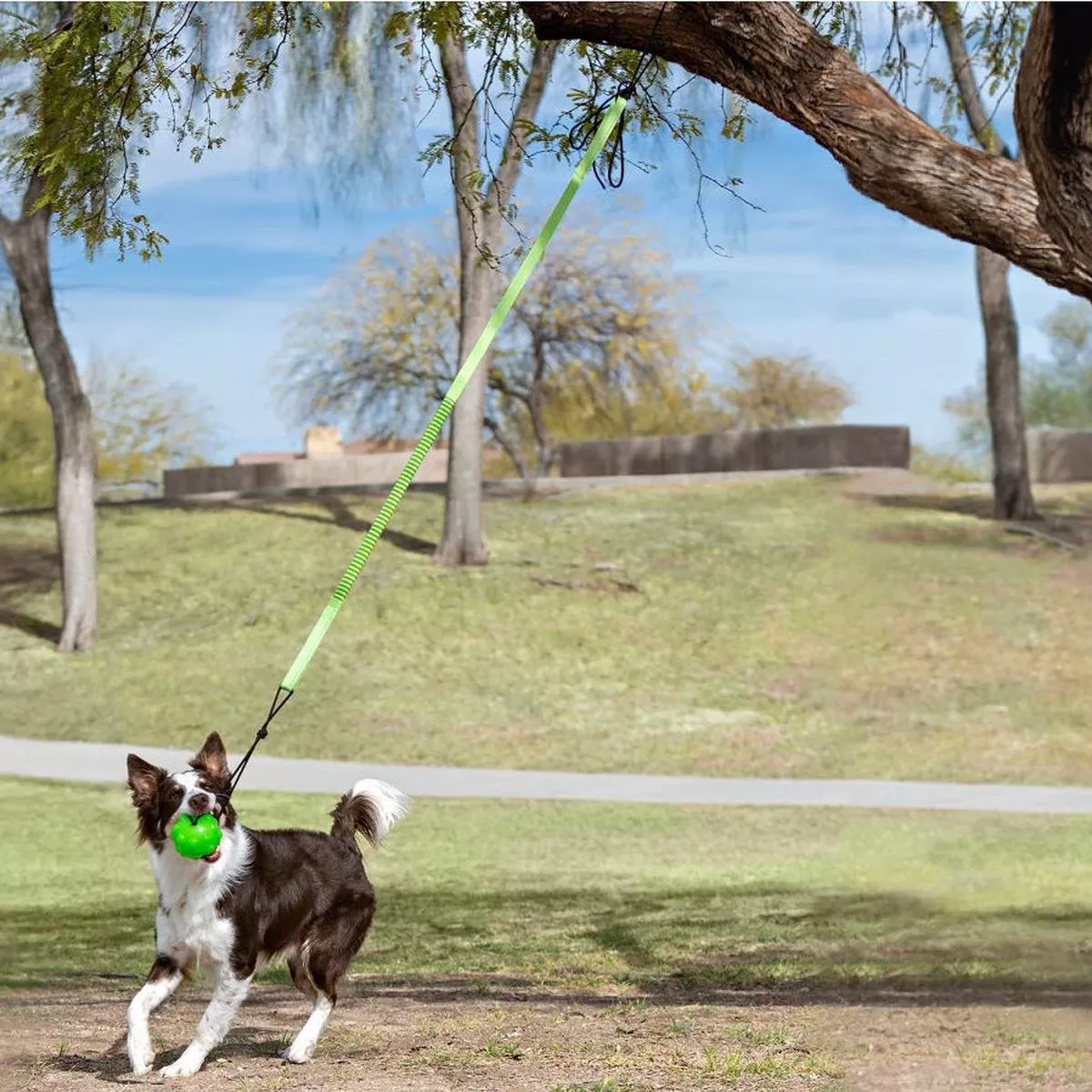 Jolly Pet – Tree Tugger
