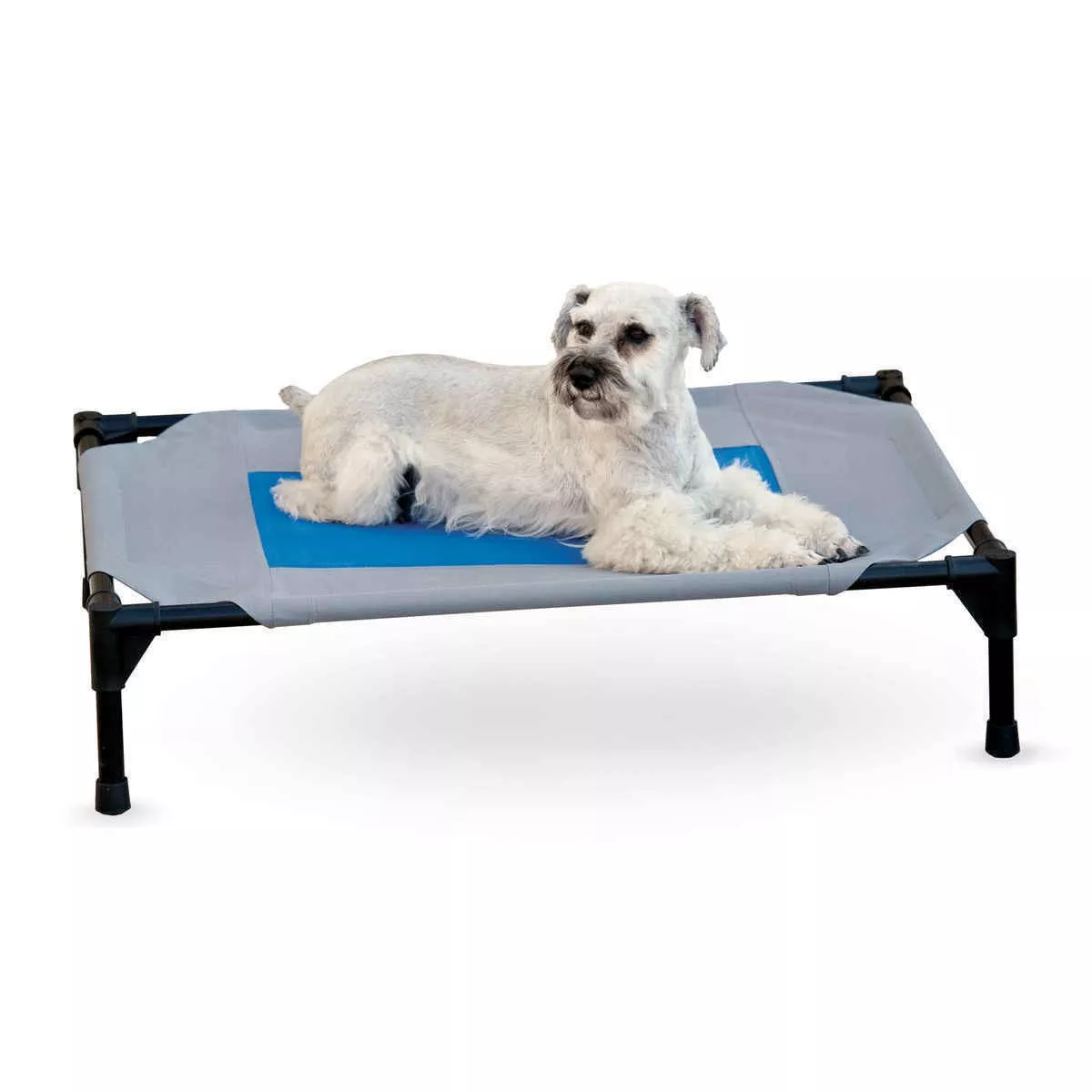 K&H Pet Products Coolin' Pet Cot Medium Gray Blue