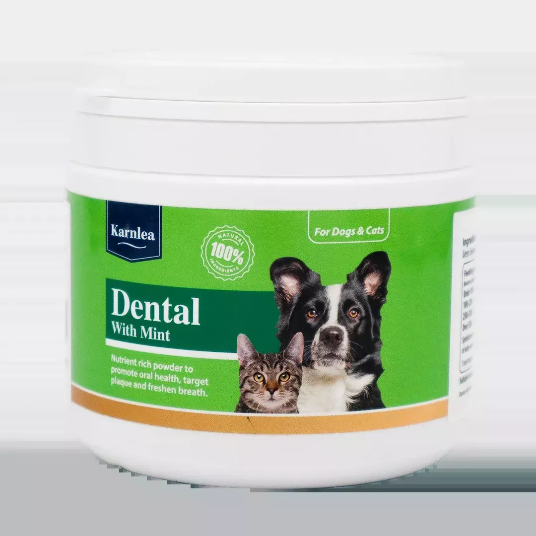 KarnLea | Dental with Mint Powder – 200g