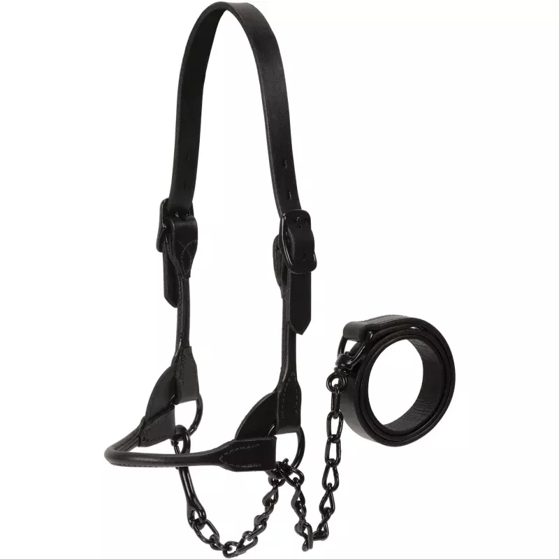 Kirk Stierwalt Black Magic Show Halter Black