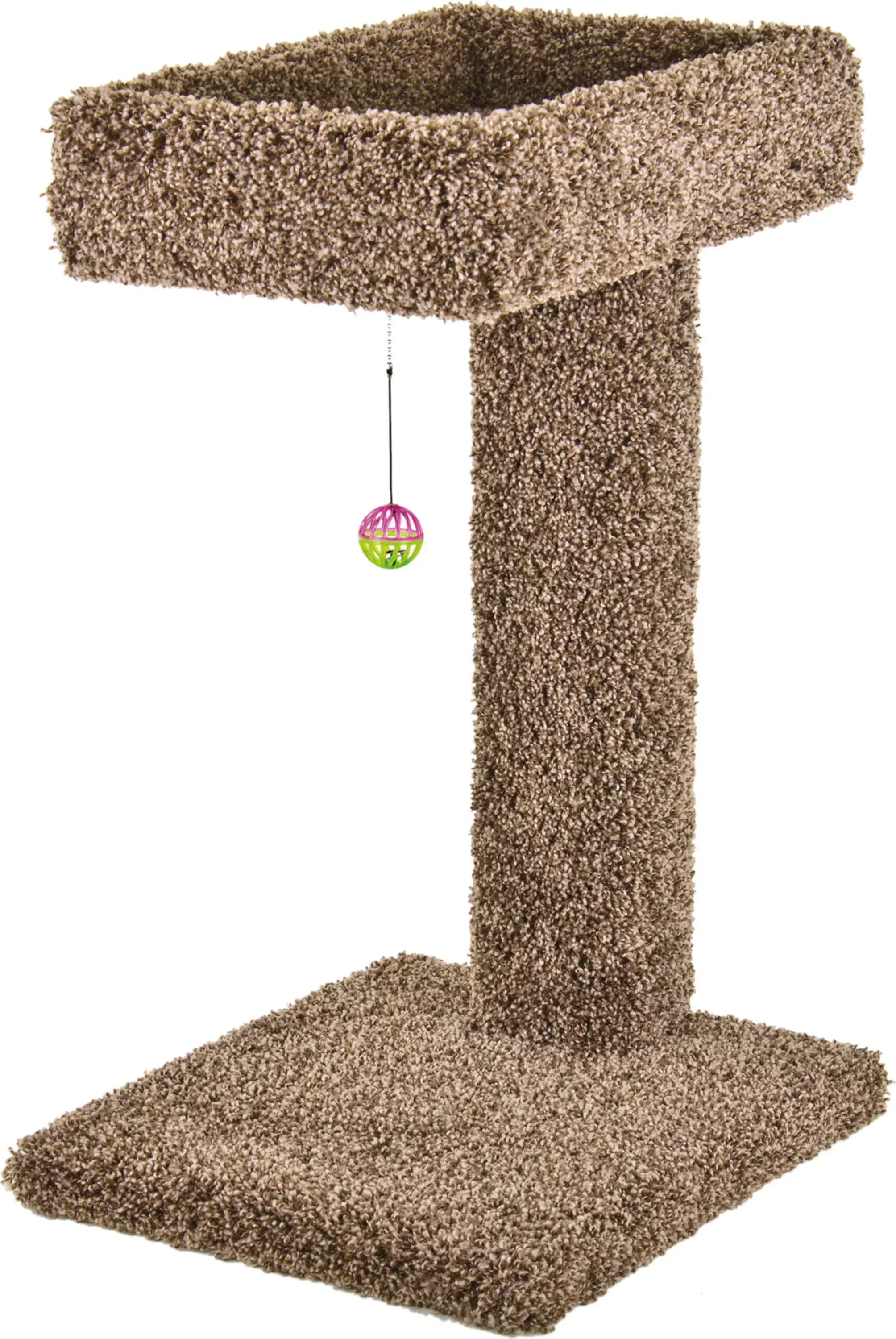 Kitty Cactus W/Toy