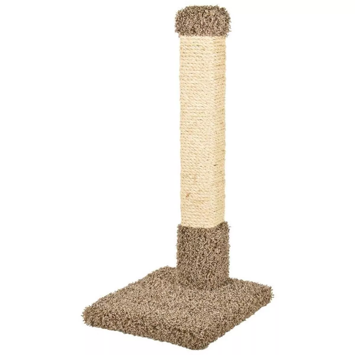 Kitty Cactus with Sisal 32"