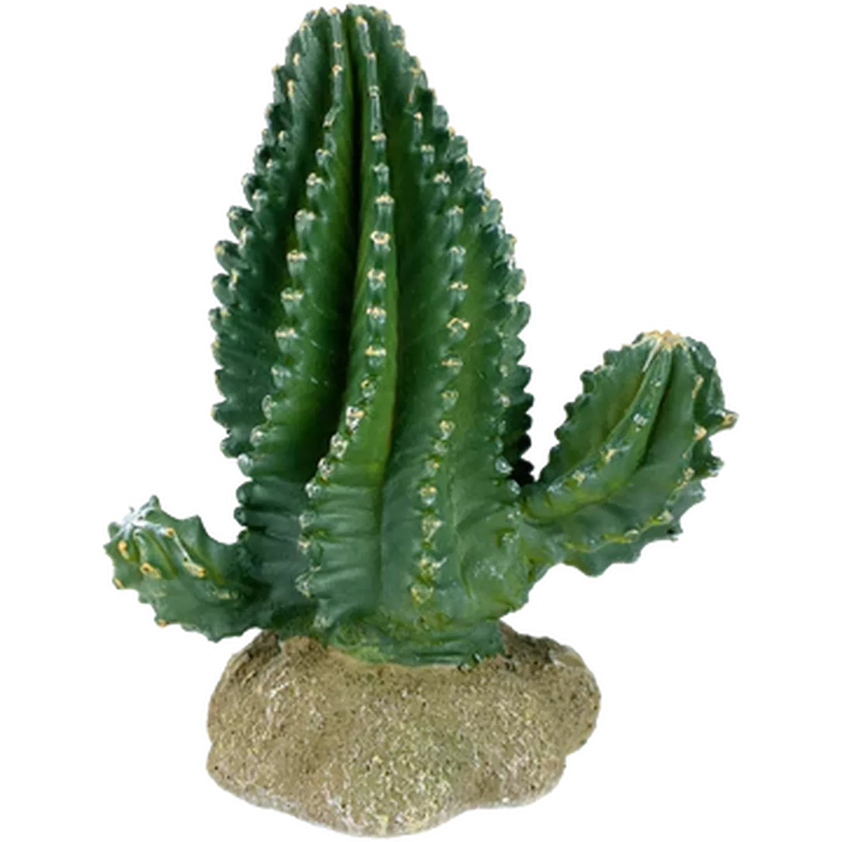 Komodo Columnar Cactus 5.9″