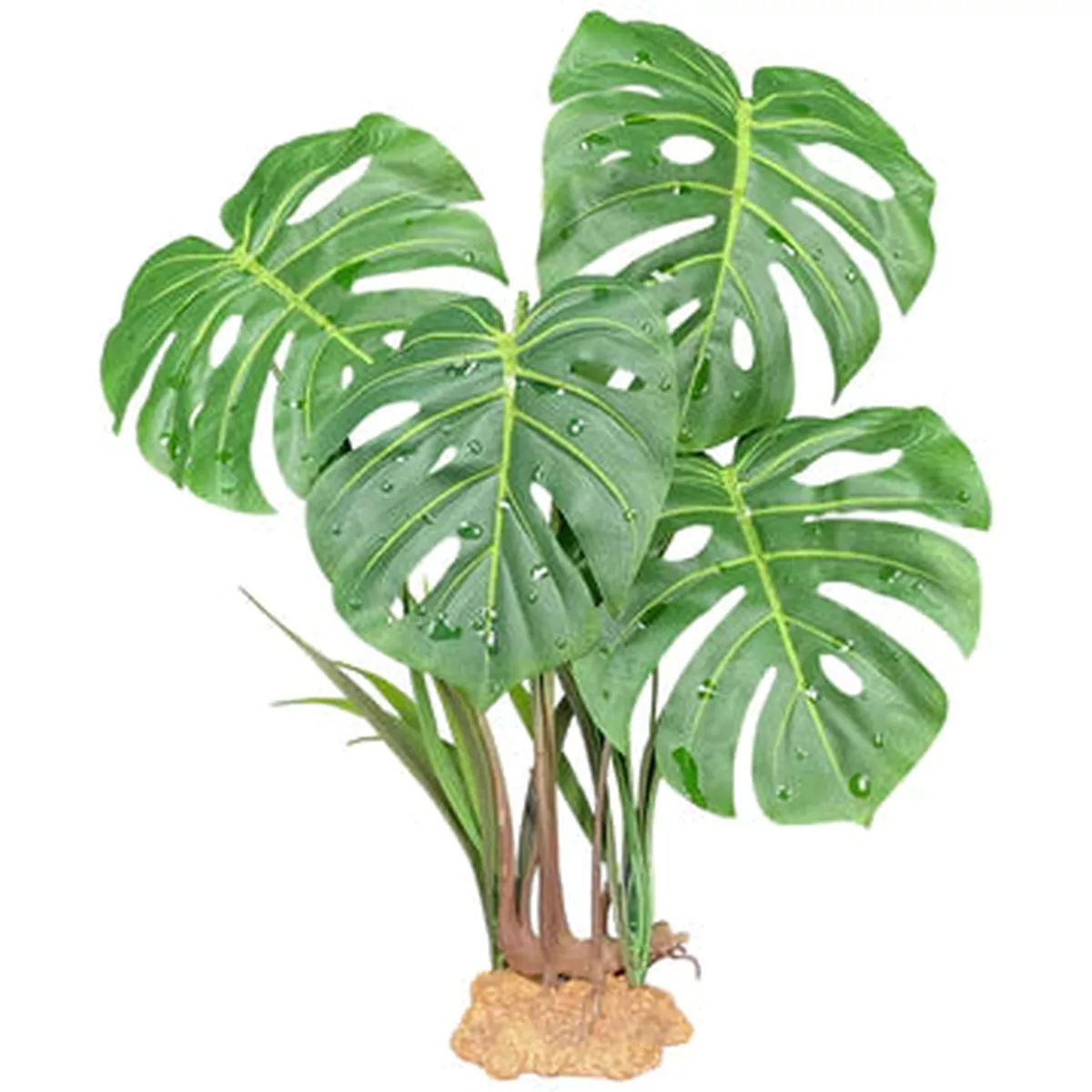 Komodo Monstera 18.9″
