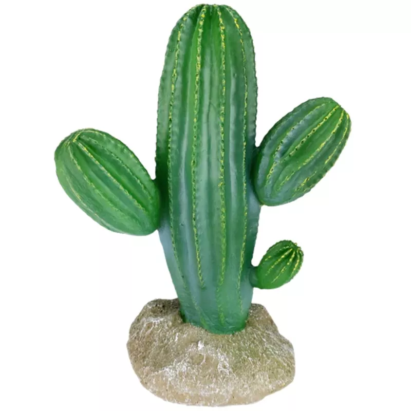 Komodo Saguaro Cactus 9″