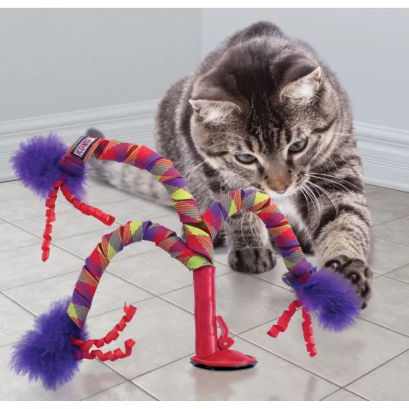 *KONG CAT CONNECTS CURLZ