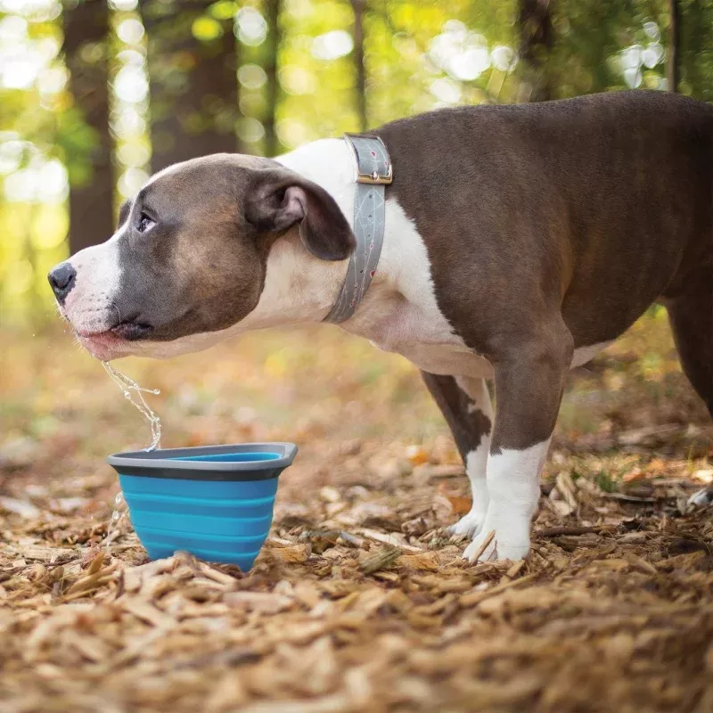 KURGO Collapsible Bowl