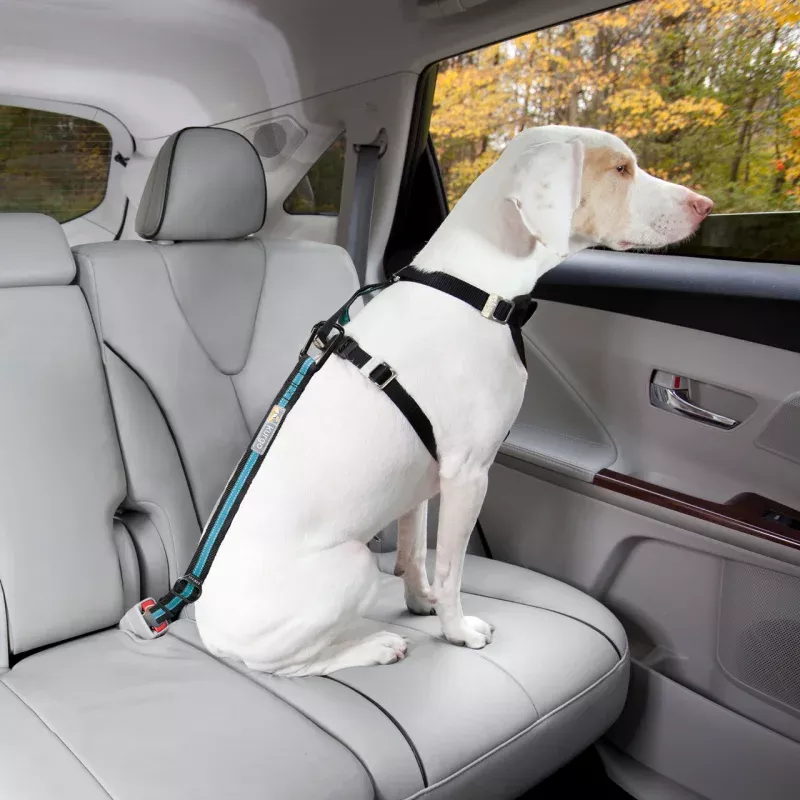 KURGO Direct Seatbelt Tether