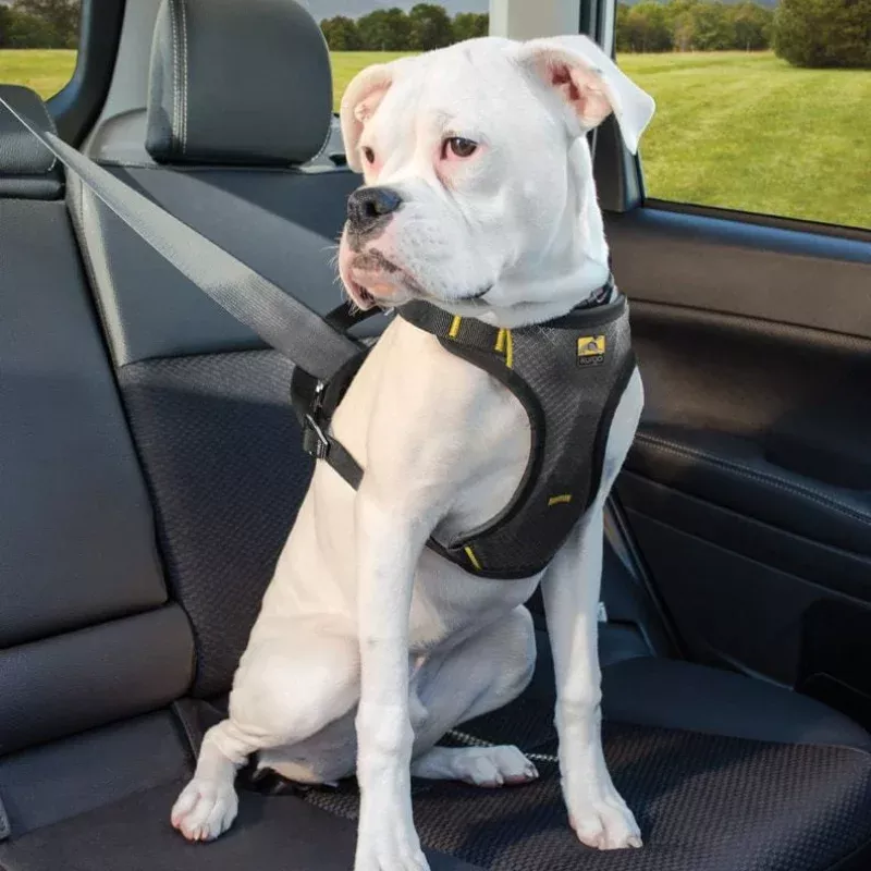 KURGO Impact Seatbelt Harness