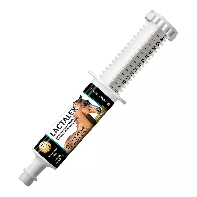 Lactalex Muscle Support Paste Horse Supplement, 60 cc