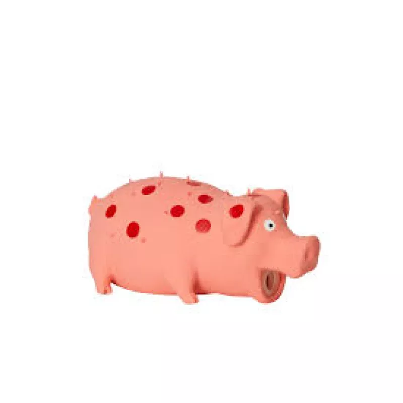 Latex Spotted Pig Squeaker 8"