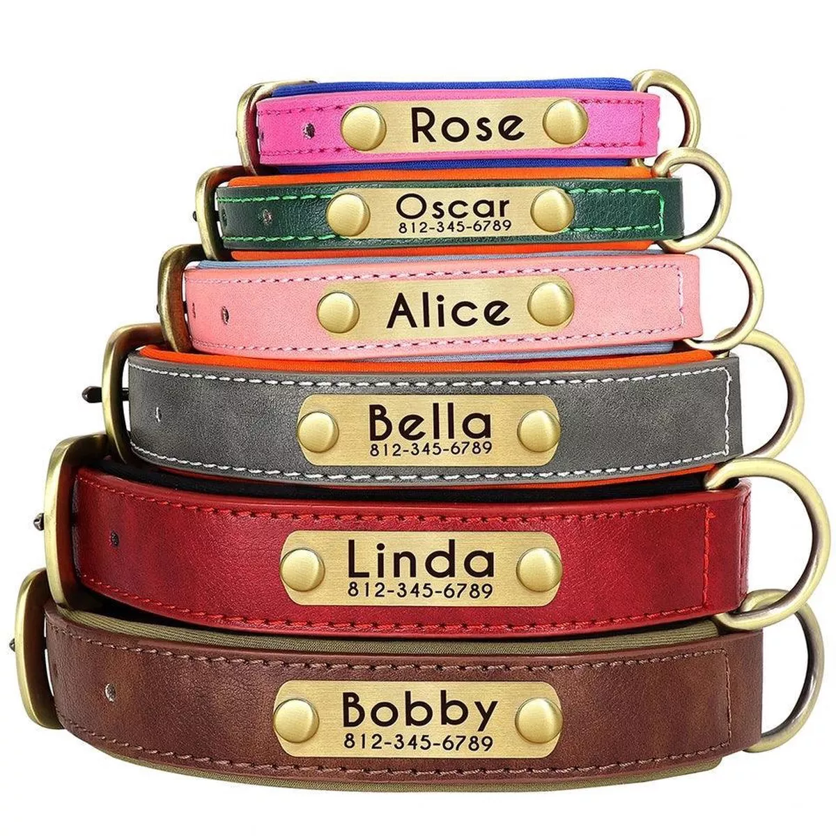 Leather Collar with Custom Tag