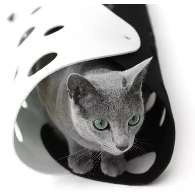 Lima Cat Tunnel