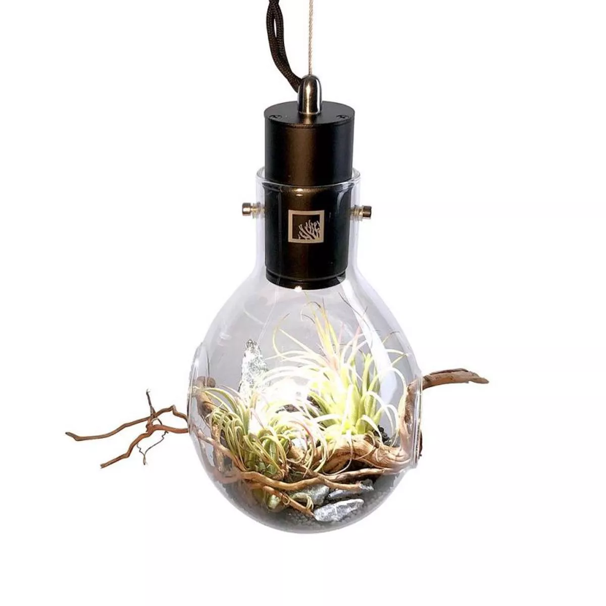 Luminarium Terrarium
