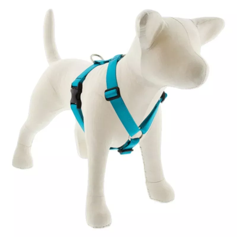 LUPINE Basic Solids Roman Dog Harness, Aqua, 1×20-32