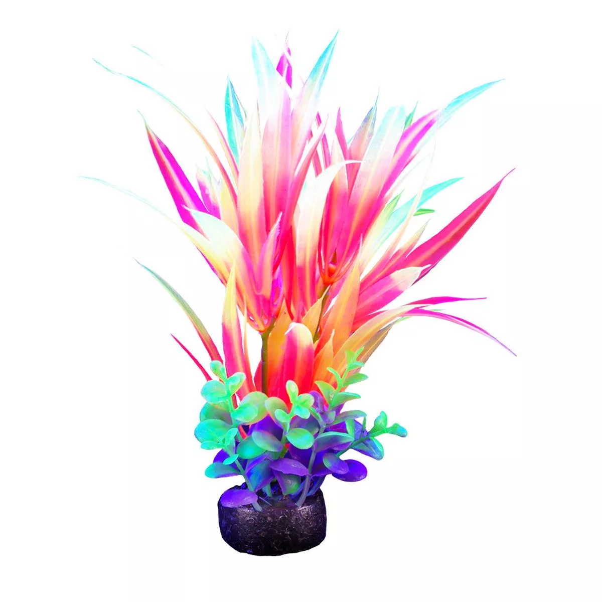 Marina IGlo Plants