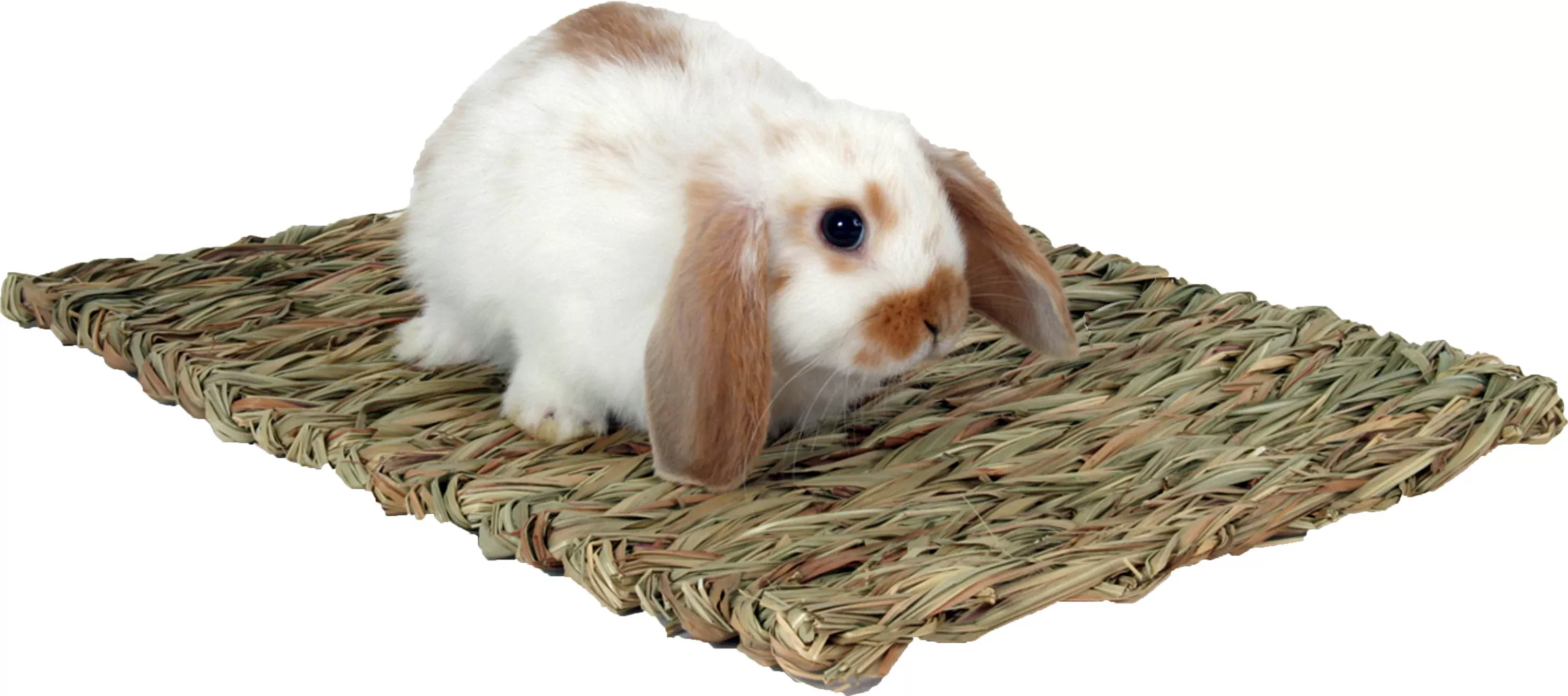 Marshall Woven Grass Mat