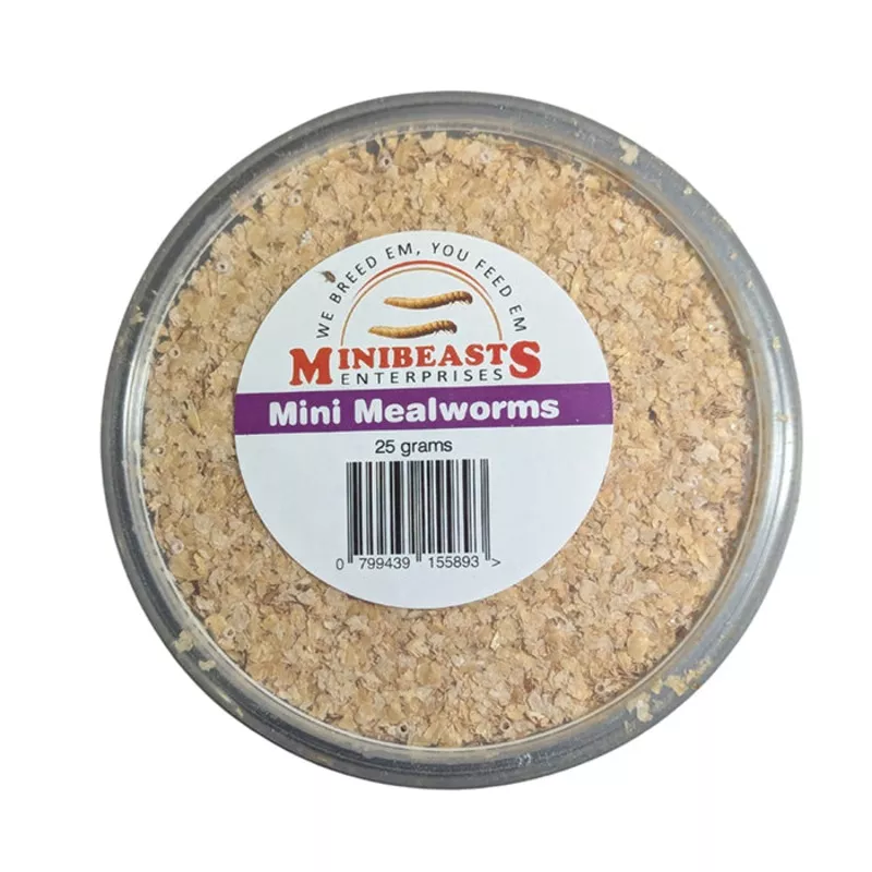 Minibeasts – Mini Mealworms 25gm