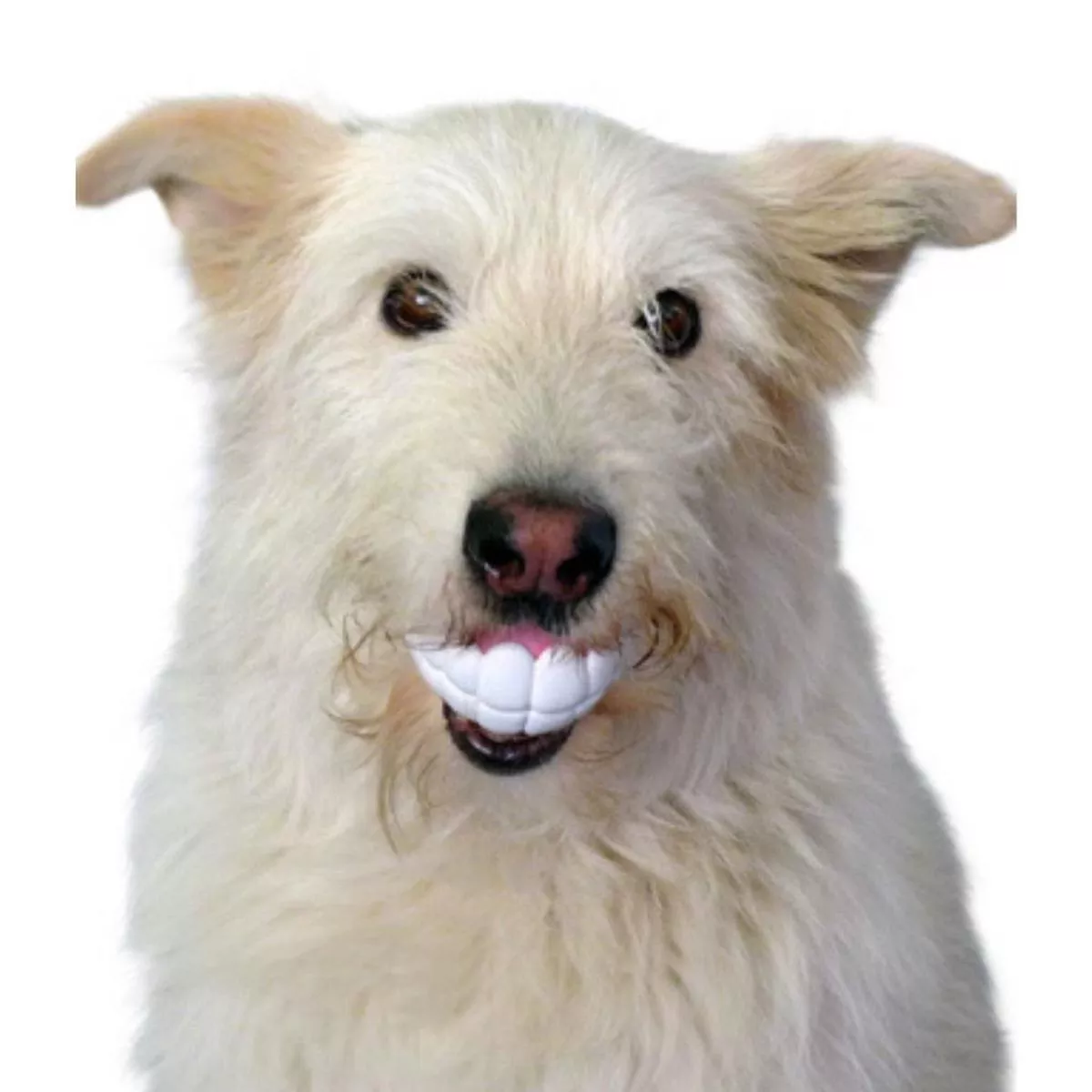 Moody Pet – Humunga Chomp