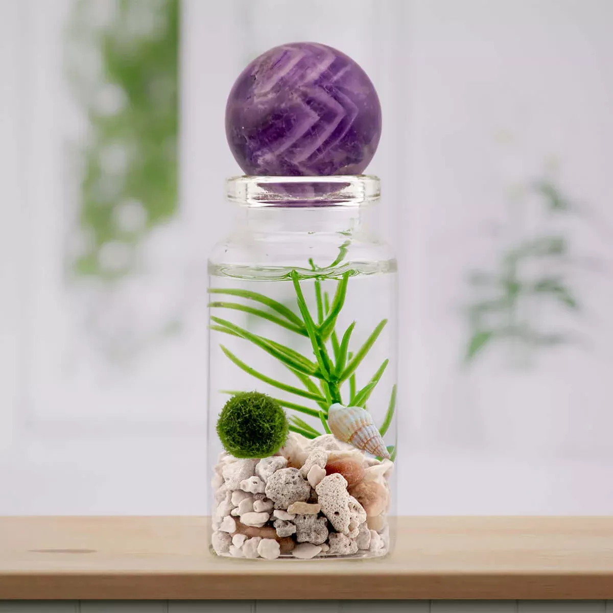 Moss Ball Pet Terrarium - The Alchemist's Collection