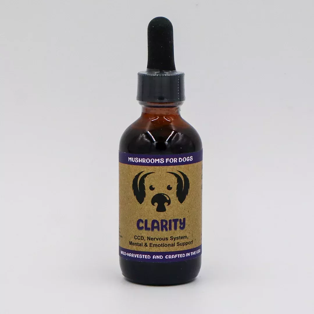 MYCODog | Clarity – Mushroom Extract & Adaptogen Tincture