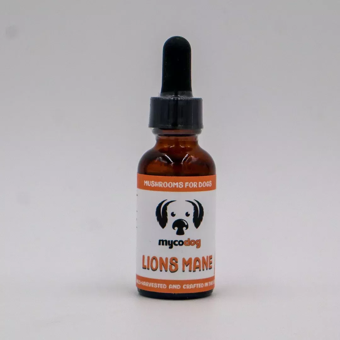 MYCODog | Lion’s Mane Tincture