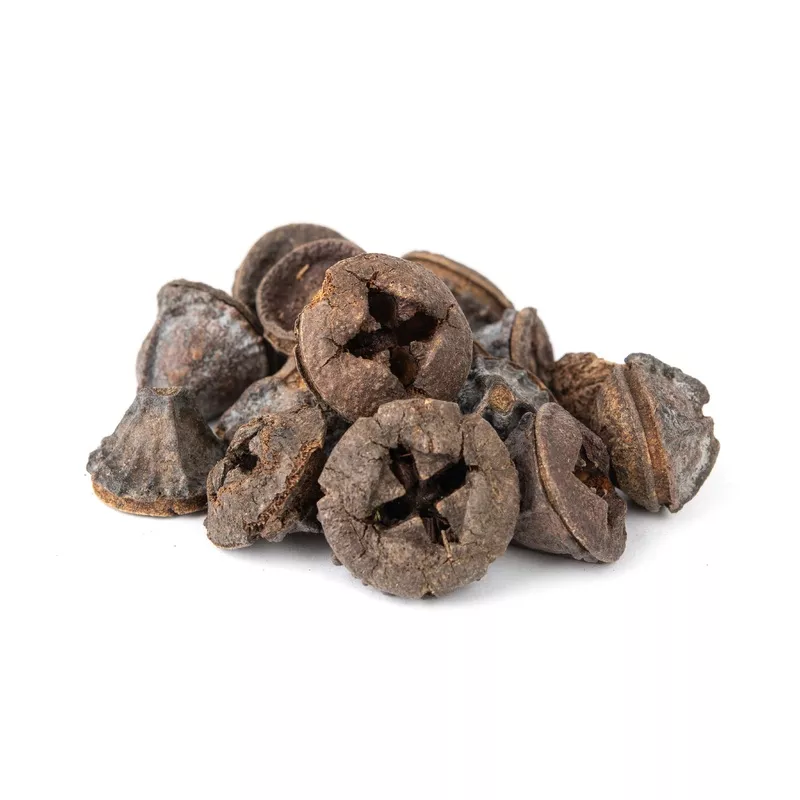 NewCal Eucalyptus Button Pods