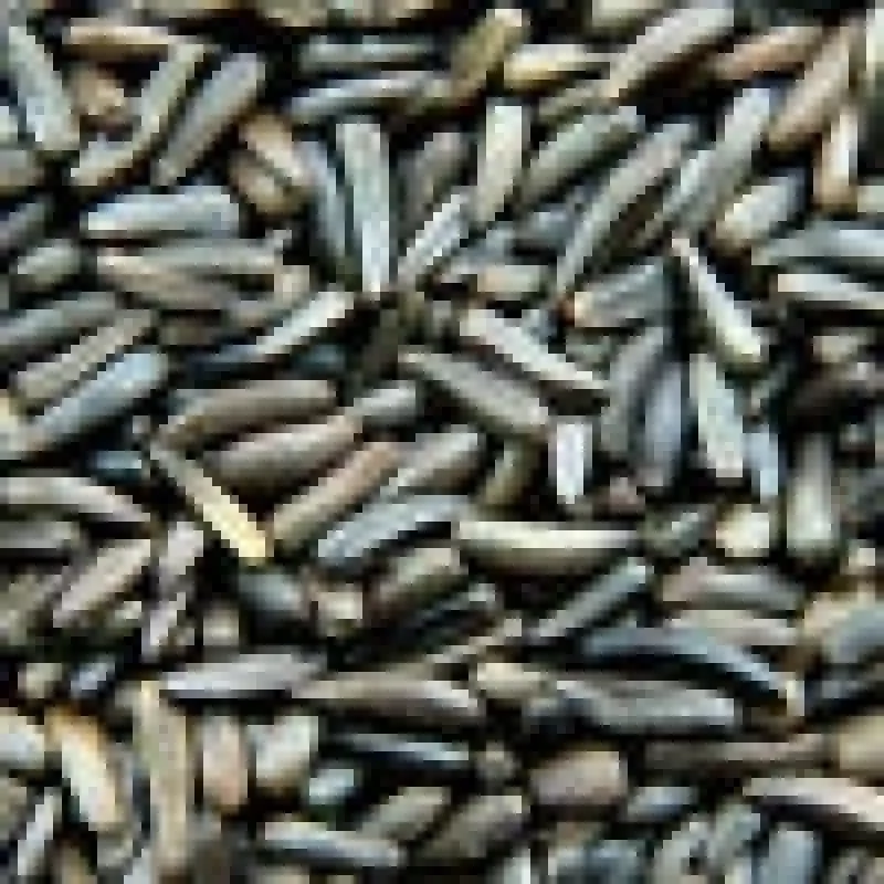 NYJER SEED 2KG