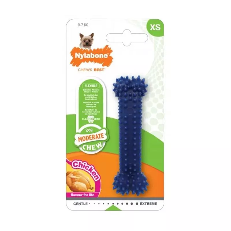 Nylabone Moderate Dental Chew Dog Chew Toy Medium